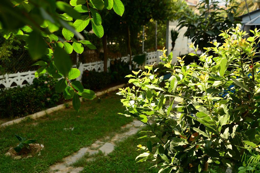 Pinar Hotel Алания Экстерьер фото
